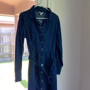 Cato Denim Dress
